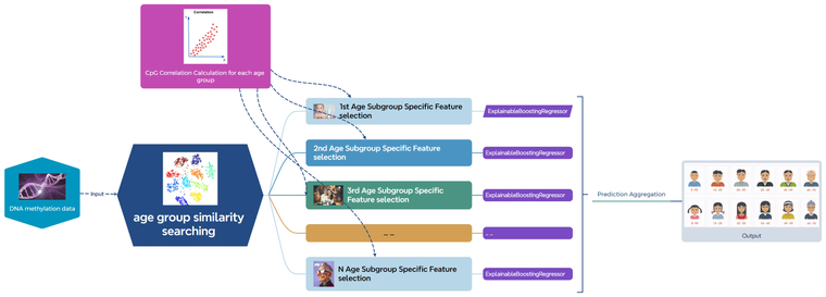 iTARGET method overview for age-group-specific feature selection and prediction aggregation.
